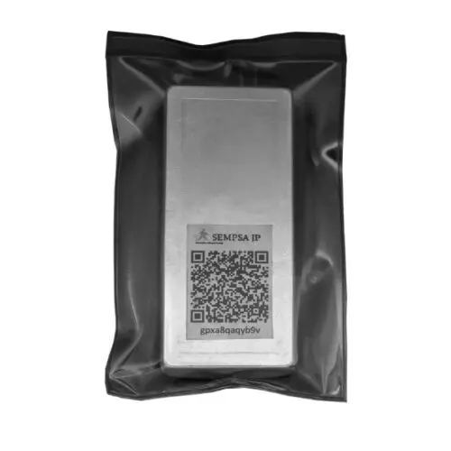 Lingote de plata 250 gr – SEMPSA – España oro express